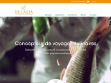 Web app : Delasia